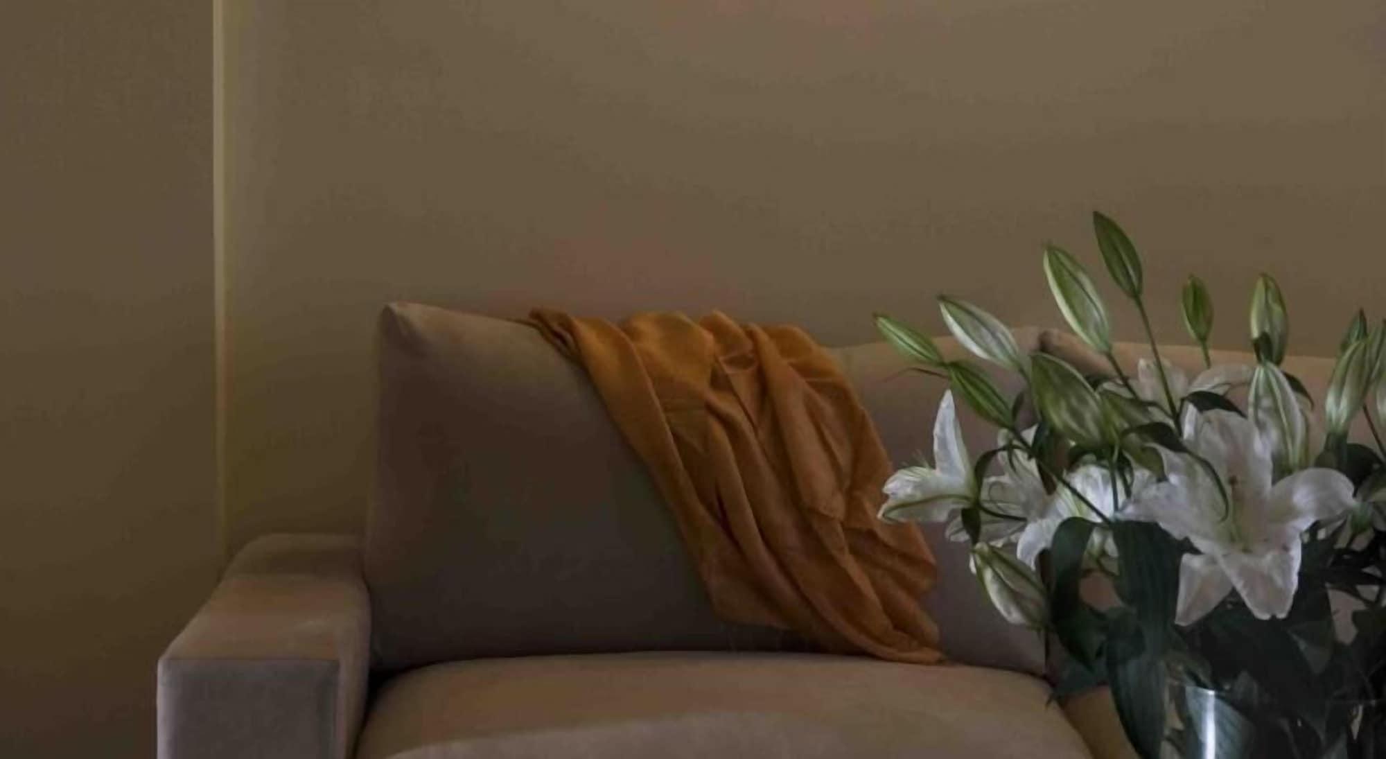 Valis Resort Hotel โวโลส ภายนอก รูปภาพ A throw draped over a sofa