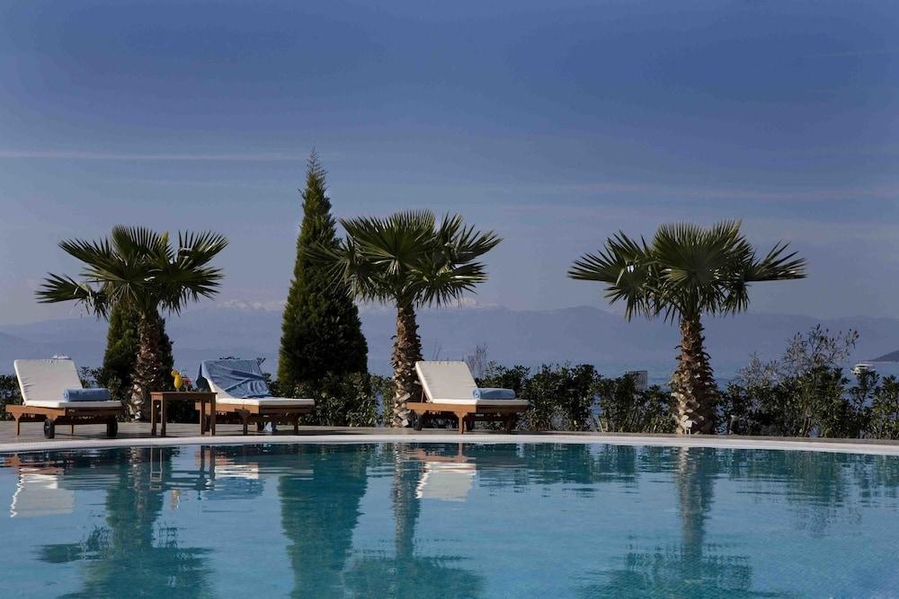 Valis Resort Hotel โวโลส ภายนอก รูปภาพ The pool at the hotel