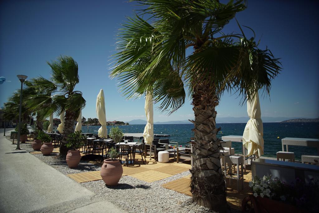 Valis Resort Hotel โวโลส ภายนอก รูปภาพ Palm trees in the port of Argostoli
